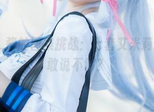 Halo_酱的图集挑战：七套艾米莉亚，谁敢说不够？